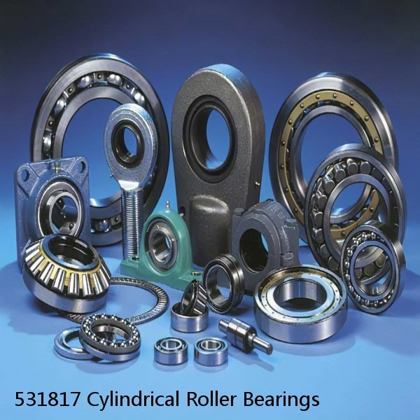 531817 Cylindrical Roller Bearings