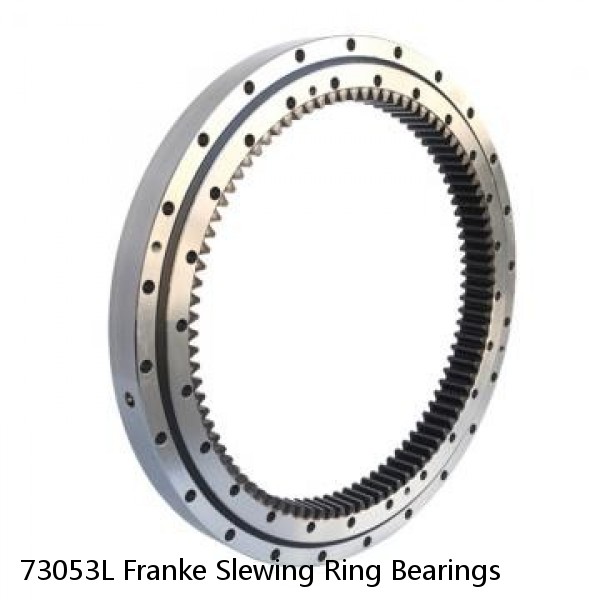 73053L Franke Slewing Ring Bearings