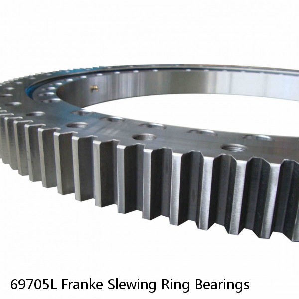 69705L Franke Slewing Ring Bearings