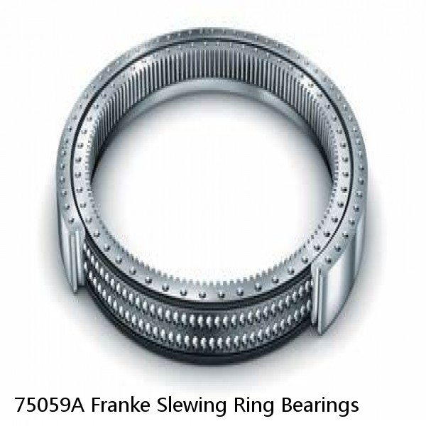 75059A Franke Slewing Ring Bearings