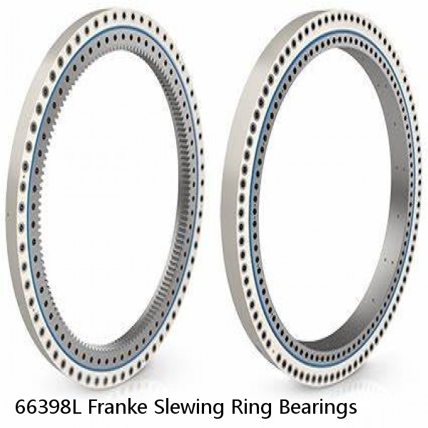 66398L Franke Slewing Ring Bearings