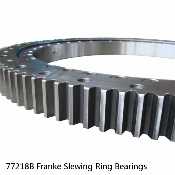 77218B Franke Slewing Ring Bearings