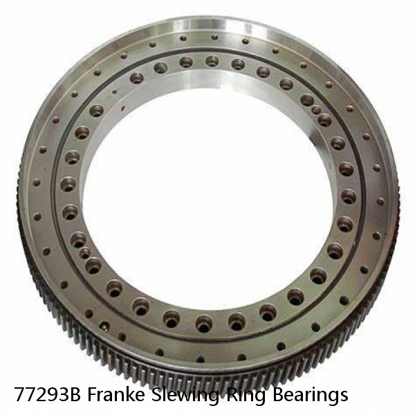 77293B Franke Slewing Ring Bearings