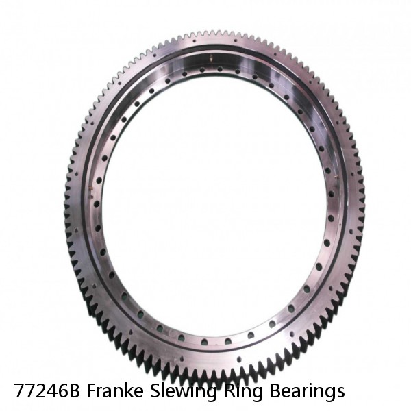 77246B Franke Slewing Ring Bearings