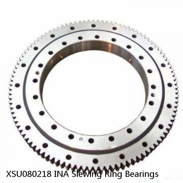 XSU080218 INA Slewing Ring Bearings