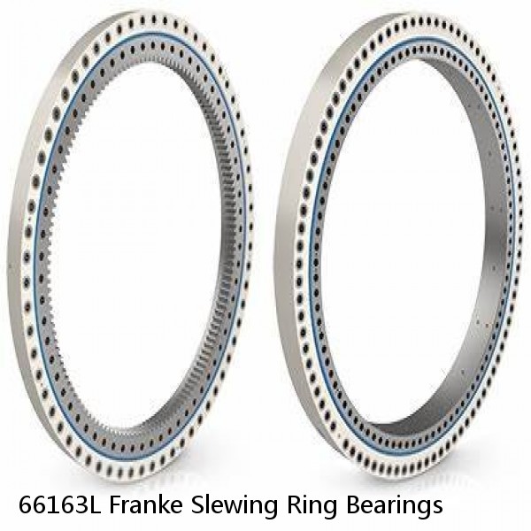 66163L Franke Slewing Ring Bearings