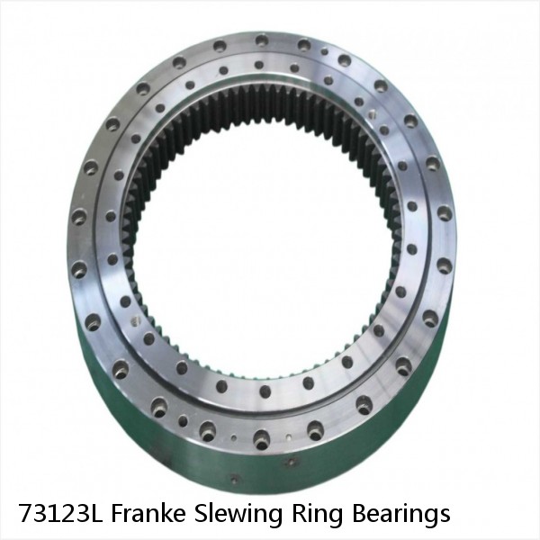 73123L Franke Slewing Ring Bearings