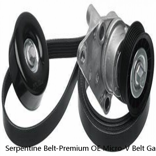 Serpentine Belt-Premium OE Micro-V Belt Gates K060935